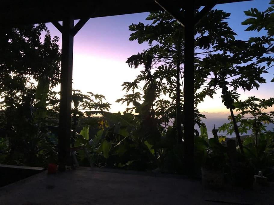 Location Open Sky Appartement Deshaies Buitenkant foto